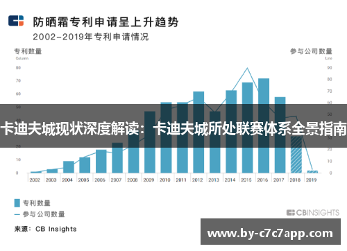 卡迪夫城现状深度解读:卡迪夫城所处联赛体系全景指南 卡迪夫城现状深度解读:卡迪夫城所处联赛体系全景指南