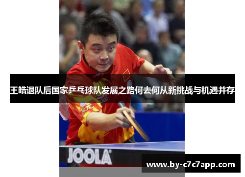 王皓退队后国家乒乓球队发展之路何去何从新挑战与机遇并存 王皓退队后国家乒乓球队发展之路何去何从新挑战与机遇并存