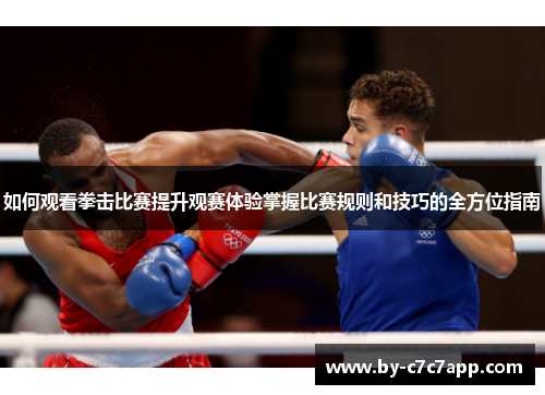如何观看拳击比赛提升观赛体验掌握比赛规则和技巧的全方位指南
