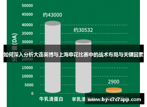 如何深入分析大连英博与上海申花比赛中的战术布局与关键因素