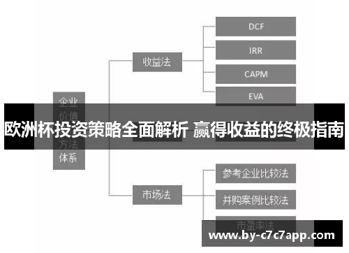 欧洲杯投资策略全面解析 赢得收益的终极指南
