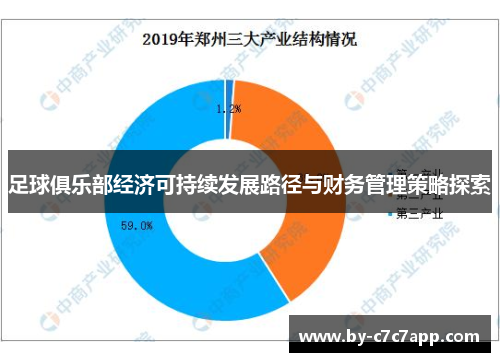 足球俱乐部经济可持续发展路径与财务管理策略探索 足球俱乐部经济可持续发展路径与财务管理策略探索
