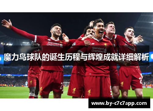 魔力鸟球队的诞生历程与辉煌成就详细解析